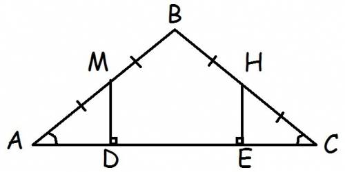 Втреугольнике abc ad равно bc. точки м и н середины сторон, ав и вс. md и he перпендикулярна к прямо