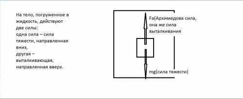 Изобразите схематично положение кирпича в сосуде с серной кислотой и укажите силы действующие на нег