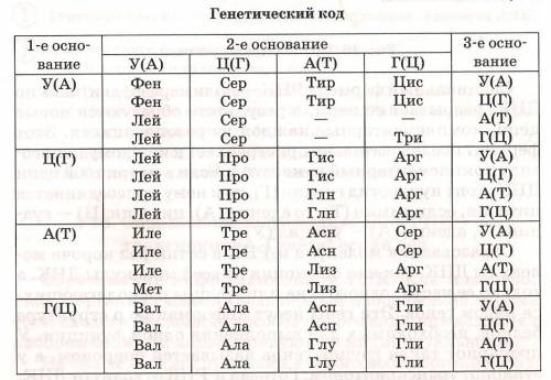 )определите состав аминокислот (количество - над чертой , качество - под чертой) в составе фрагмента