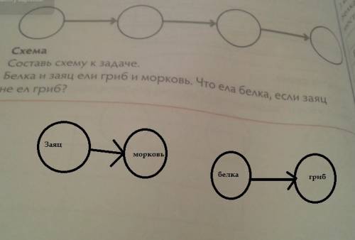 Составь схему к . белка и заяц ели гриб и морковь. что ела белка , если заяц не ел гриб? мы поняли,