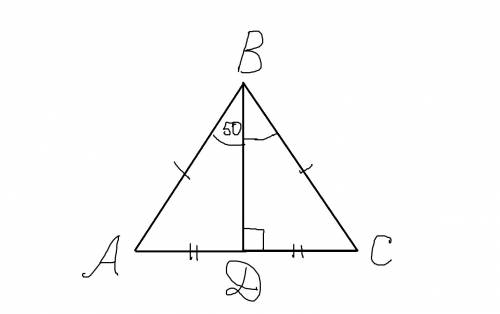 Треугольник abc - равнобедренный ab=bc .bд-медиана.угол авд=50 градусов .чему равны углы треугольник