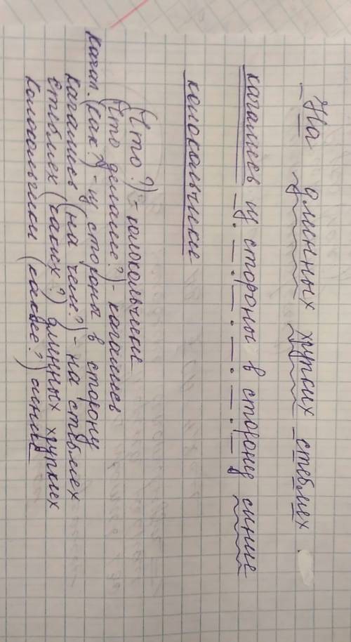 Разбор предложение по составу и написать вопросы. на длинных хрупких стеблях качались из стороны в с