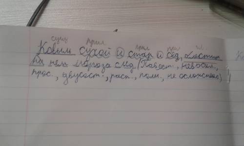 Предложение ковыль сухой и стар и сед, блестит на нём мороза след. разбор по цифре 4. !