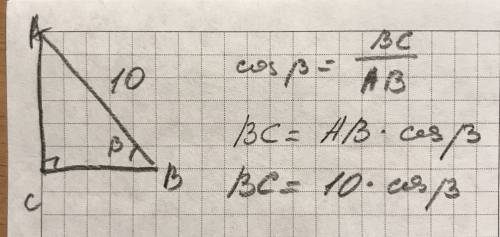 Впрямоугольном треугольнике abc (угол c=90 гр.) ab=10 см, угол b=β. найдите ac если можно подскажите