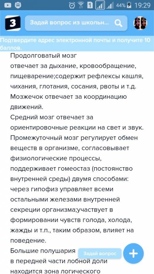 Головной мозг человека состоит из нескольких отделов. продолжением спинного мозга является ). в нем