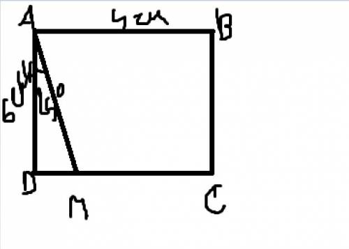 Постройте прямоугольник abcd со сторонами ab = 4 см, ad = 6 см. проведите луч am, пересекающий сd в