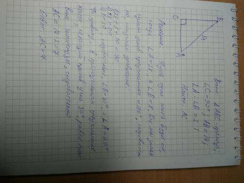 Треугольник acb прямоугольный (угол c=90), сторона ab=14 , угол a: угол b=2: 1. найти сторону ac.