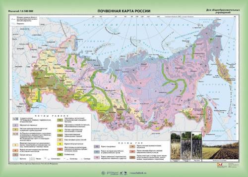 Какой из перечисленных типов почв характерен для природной зоны тайги россии 1) подзолистые 2) серые