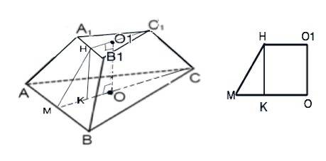 Стороны оснований правильной треугольной умеренной пирамиды равны 12 дм и 6 дм, а ее высота 1 дм. на