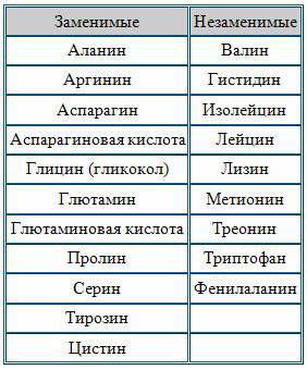 Заменимые и незаменимые аминокислоты. дайте определение, примеры.