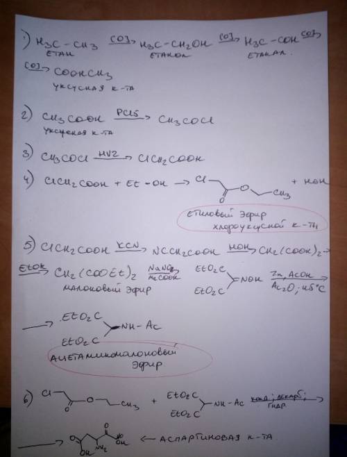 Органическая . осуществите переход: этанол → аспарагиновая кислота.
