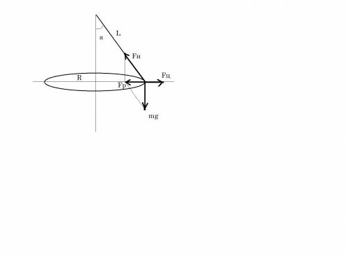 Який напрямок рівнодійної сили тяжіння і сили натягу нитки, що діють на конічний маятник в даній роб