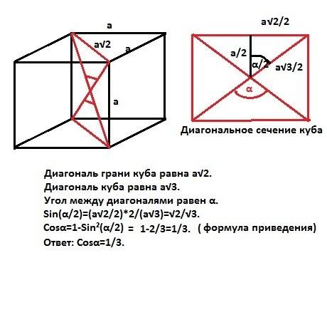 Найдите косинус угла между диагоналями куба ? ( ответ должен получиться 1/3)