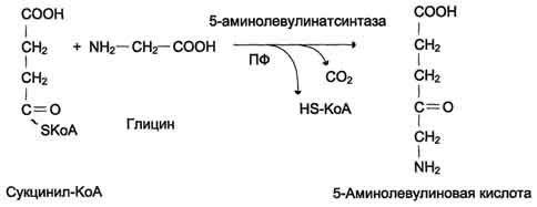 Как из глицина получить аминолевулиновую кислоту это вообще возможно