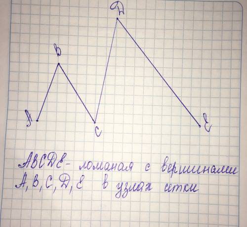 Начертите в тетради ломаную с вершинами в узлах !