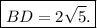 \boxed{BD = 2 \sqrt{5} .}