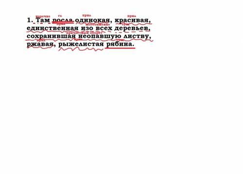 Сделайте синтаксический разбор предложений. заранее . 1. там росла одинокая, красивая, единственная