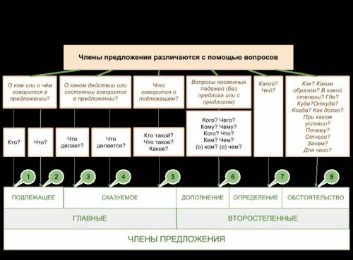 Отом,что вы знаете о членах предложения