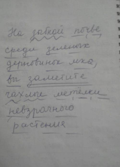 Сделать синтаксический разбор предложения. на зыбкой почве, среди зелёных дерновинок мха, вы заметит