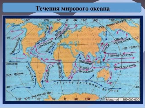 Обозначьте стрелками течения: гольфстрим , лабрадорское, северо -тихоокеанское , перуанское , западн