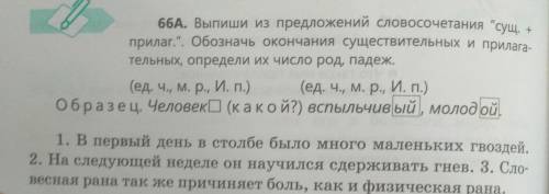 Выпиши из предложений словосочетания сущ+прилаг. обозначь окончания существительных и прилагательных