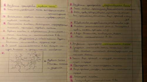 Опишите соединительную, нервную и мышечную ткани по плану: 1. название препарата 2. тип ткани 3. мес