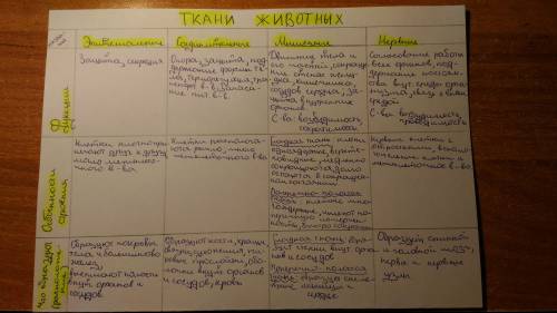 Делать таблицу ткани животного и человека для 8 класса