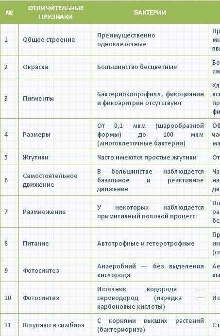 Кто может какой признак является общим у цианобактерий и других бактерий? ﻿