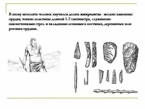 Тонкие каменные пластины длиной 1 -2 см называется а скребок б микролит в зернотёрка г наконечник ст