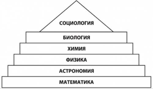 Из каких наук сформировалась в самостоятельную область знаний