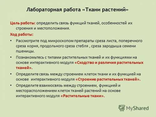 Сделали лабораторную по теме ткани растений осталось сделать вывод для чего нужны ткани,