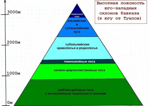 Назовите высотные пояса в гималаях и на горе кавказ