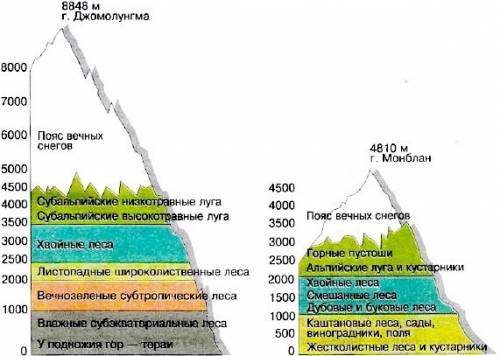 Назовите высотные пояса в гималаях и на горе кавказ