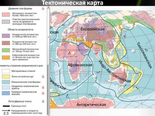 Определите , как обозначены тектонической карте древние и молодые платформы