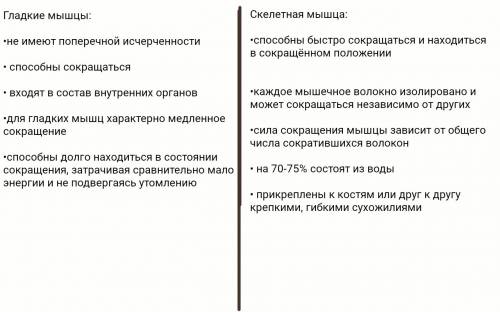 Какими свойствами гладкие мышцы и каким отделом нервной системы регулируется