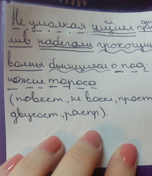 По членам предложения и характеристику предложения. ! не умолкая шумел прилив набегали грохочущие во