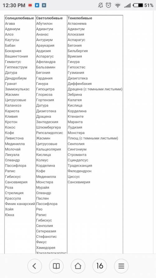 Абиотические факторы и виды растений на солнечной и теневой сторонах