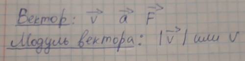 Какая величина называется вектором? что токое модуль вектора? как обозночается вектор и его модуль?
