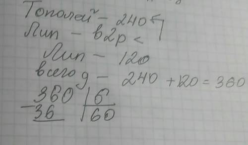 Реши .напиши пояснение к каждому действию.в парке растёт 240 тополей,а лип - в 2 раза меньше.все дер