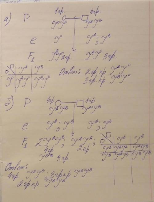 Определите возможные фенотипы и генотипы детей,если у родителей а) 1 и 4 группа крови; б)4 и 4 групп