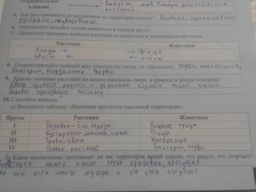 8. охарактеризуйте нижний ярус (подстилку, почву, их обитателей).9. каково значение растений на ваше