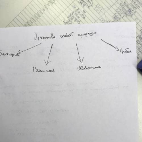 По каким признакам вы различаете между собой представителей разных царств пород? ! !