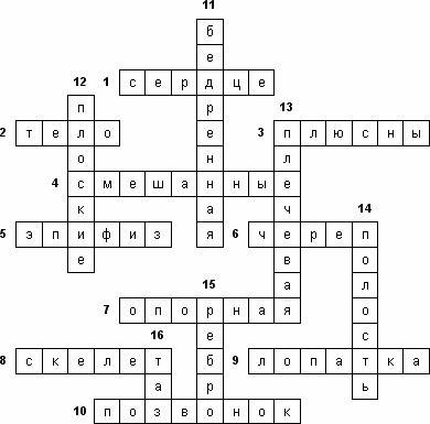 Составьте кроссворд на тему строение скелета