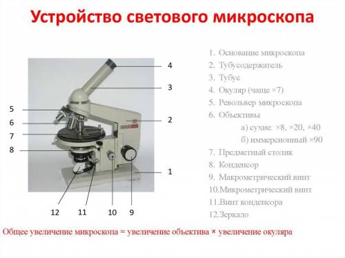 Свойства микроскопа если можно с рисунком