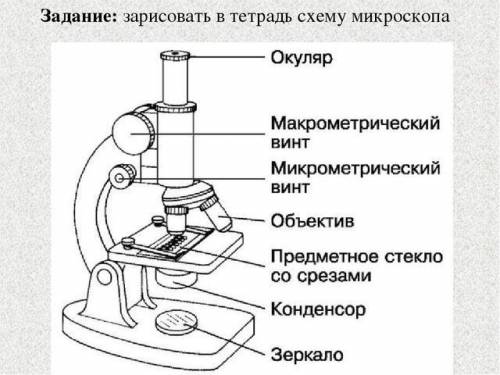 Свойства микроскопа если можно с рисунком