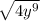 \sqrt{4y^9}