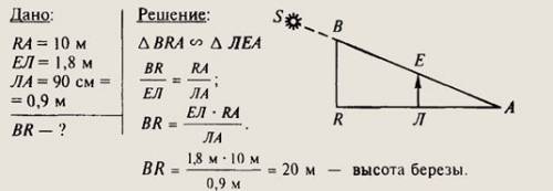 Всолнечный день длинна тени на земле от клки высотой 1,8м равняется 90см,а от березы 10см. какая выс
