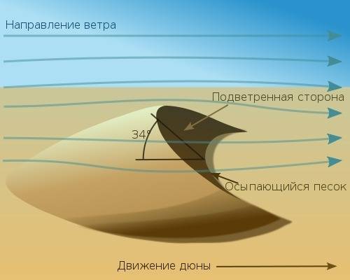 Под действием каких внешних сил и где образуется дюны в африке? ! 24 .