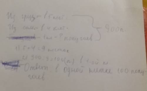 Решить в зоопарк всего 900 попугаев.из грузовика рассадили попугаев в 5 клеток ,а из самолёта в 4 кл