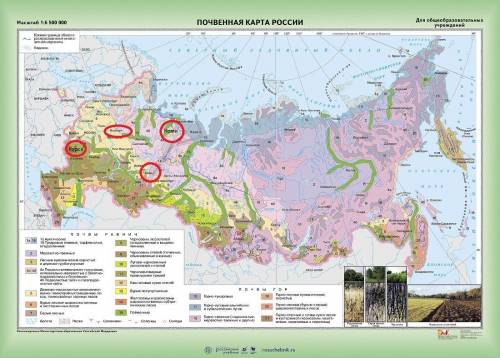 Вкаком из перечисленных регионов почвы отличаются наибольшим естественным плодородием? 1. вологодска